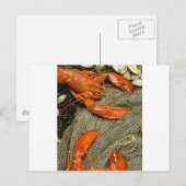 Hummer Postkarte (Vorne/Hinten)