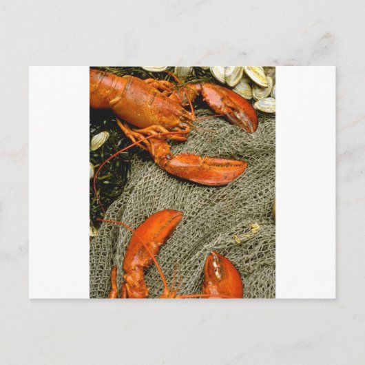 Hummer Postkarte (Vorderseite)