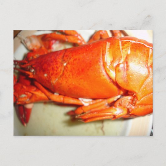 Hummer Postkarte (Vorderseite)