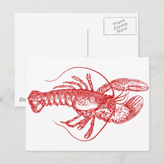 Hummer Postkarte (Vorne/Hinten)