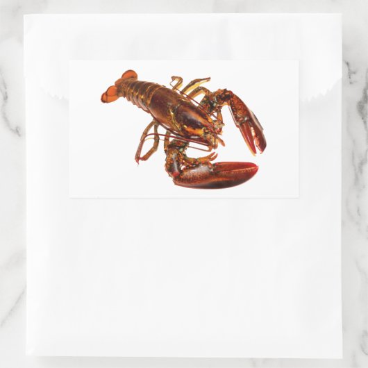 Hummer Rechteckiger Aufkleber (Tasche)