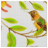 Hummer Rufous Stoff (Nahaufnahme)