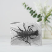 Hummer Schwarz-Weiß-Foto Postkarte (Stehend Vorderseite)