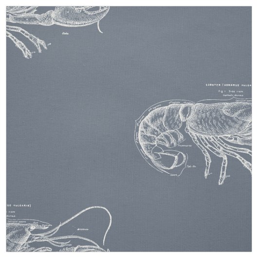 Hummer Stoff (Muster)