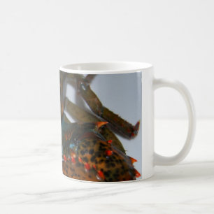 Hummer-Tasse Kaffeetasse