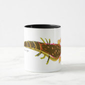 Hummer u. Minnows 11 Unze-Tasse Tasse (Zentrum)