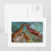 Hummer und Langoustine Postkarte (Vorne/Hinten)