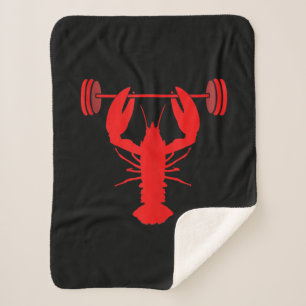 Hummerbauer bei Gym Sherpadecke