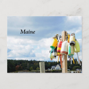 Hummerbojen in Maine Postkarte