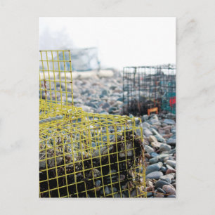 Hummerfallen am Rocky Beach Postkarte