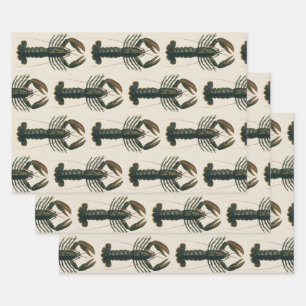 Hummerklauen Vintage Meeresleben Krustentier Geschenkpapier Set