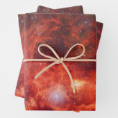 Hummernebel Geschenkpapier Set (Beispiel)