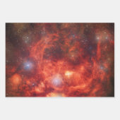 Hummernebel Geschenkpapier Set (Vorderseite)