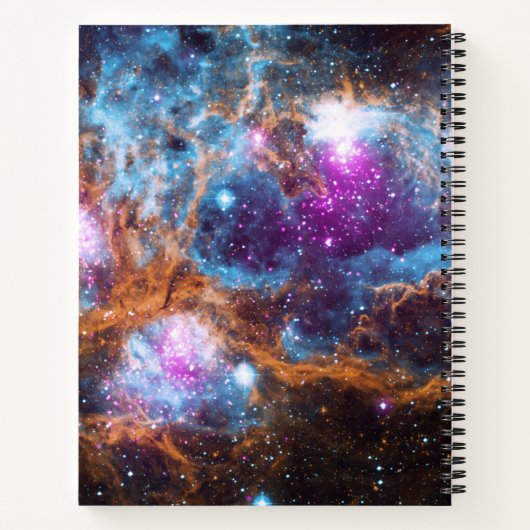 Hummernebel Notizblock (Rückseite)