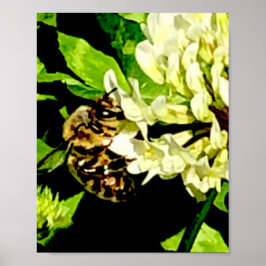 Hummerposter Poster
