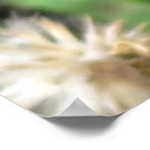 Hummerposter Poster (Ecke)