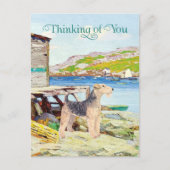 Hummertöpfe Postkarte (Vorderseite)