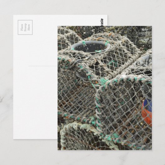 Hummertöpfe Postkarte (Vorne/Hinten)