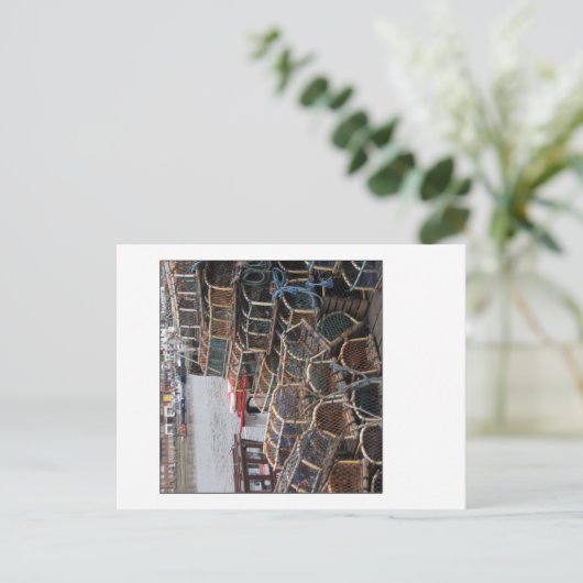 Hummertöpfe Postkarte (Stehend Vorderseite)