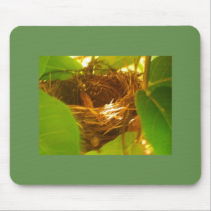 Hummiing Bird Nest Mousepad