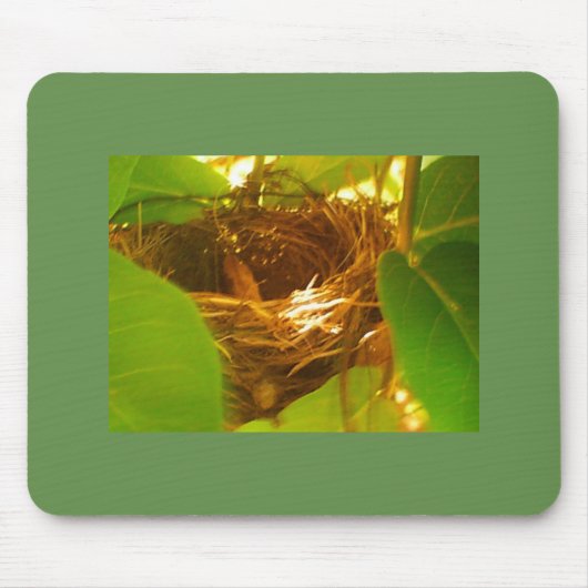 Hummiing Bird Nest Mousepad (Vorne)