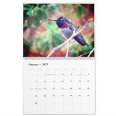 Humming Bird 2025 LargeCalendar, White Kalender (Feb 2027)