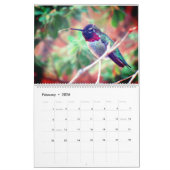Humming Bird 2025 LargeCalendar, White Kalender (Feb 2026)
