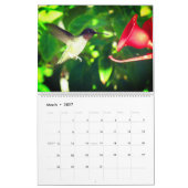 Humming Bird 2025 LargeCalendar, White Kalender (Mär 2027)