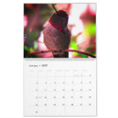 Humming Bird 2025 LargeCalendar, White Kalender (Jan 2027)