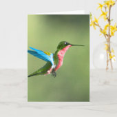 Humming Bird Card für jeden Anlaß. Karte (Gelbe Blume)