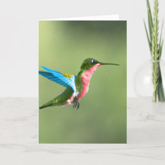 Humming Bird Card für jeden Anlaß. Karte