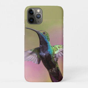 Humming Bird Case-Mate iPhone Hülle