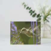 Humming Bird Harmony Postkarte (Stehend Vorderseite)