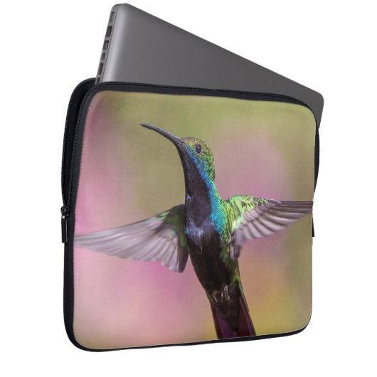 Humming Bird Laptopschutzhülle (Vorne Rechts)