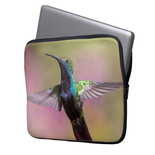 Humming Bird Laptopschutzhülle (Vorderseite Links)