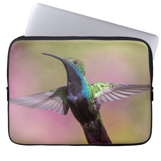 Humming Bird Laptopschutzhülle (Vorderseite)
