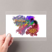 Humming Bird love Acryleinladungen (Insitu (Handheld))