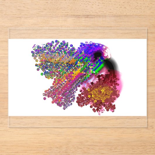 Humming Bird love Acryleinladungen (Vorderseite)