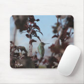 Humming Bird Mouse Pad Mousepad (Mit Mouse)