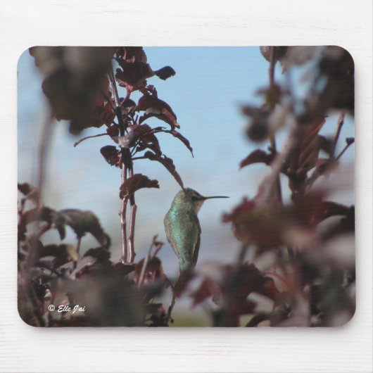 Humming Bird Mouse Pad Mousepad (Vorne)