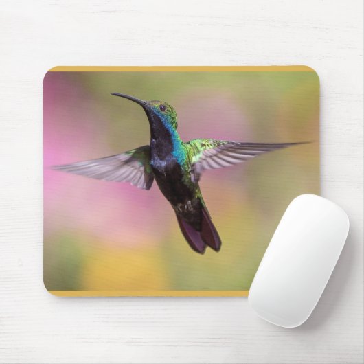 Humming Bird Mousepad (Mit Mouse)