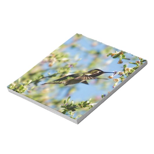 Humming Bird Notizblock (Rotiert)