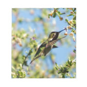 Humming Bird Notizblock (Vorderseite)