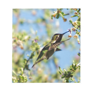 Humming Bird Notizblock
