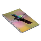 Humming Bird Notizblock (Rechte Seite)
