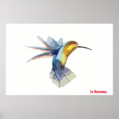 Humming Bird Poster (Vorne)