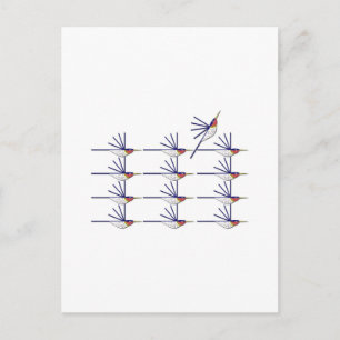 Humming Bird Postkarte