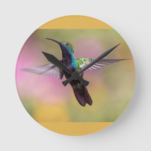 Humming Bird Runde Wanduhr (Vorderseite)
