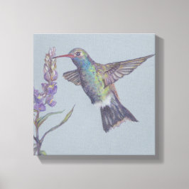 Humming Bird Stretched Canvas Print Leinwanddruck