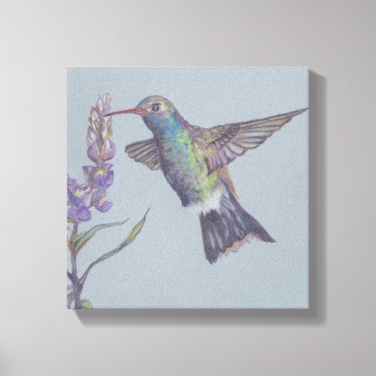 Humming Bird Stretched Canvas Print Leinwanddruck (Vorderseite)